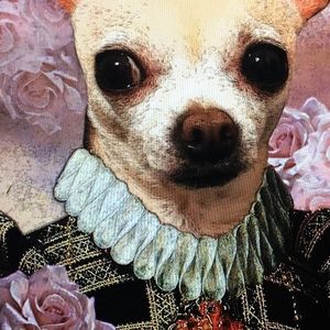 Meet your Posher, Billy